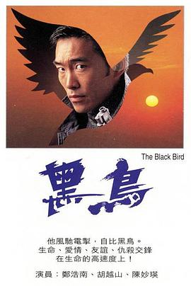 黑鳥(niǎo)粵語(yǔ)